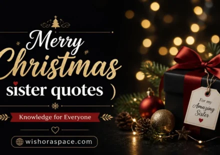 Merry Christmas sister quotes