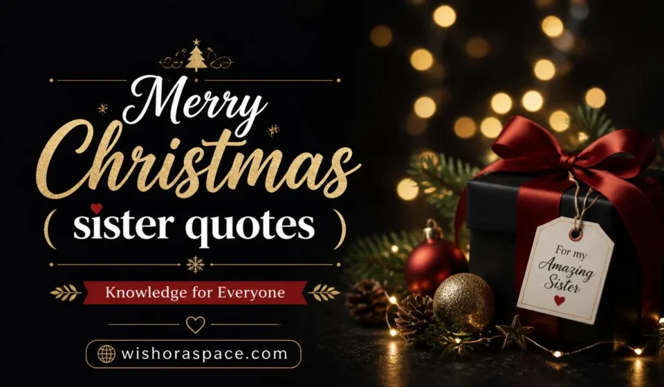 Merry Christmas sister quotes