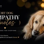 comfort dog sympathy quotes