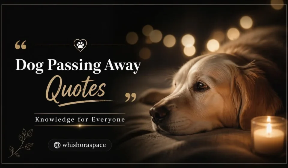 dog passing away quotes