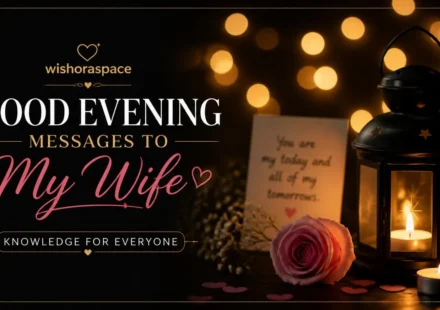 good evening messages to my wife
