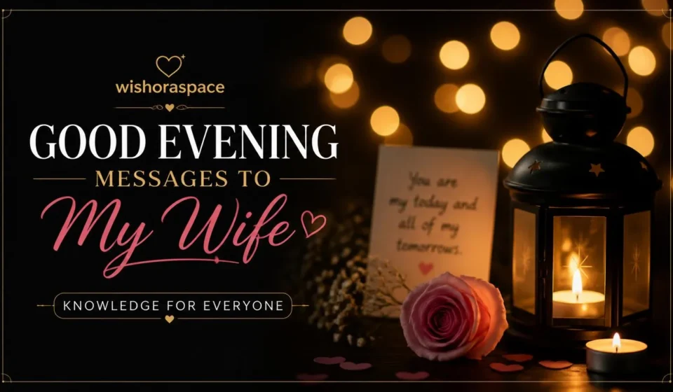 good evening messages to my wife